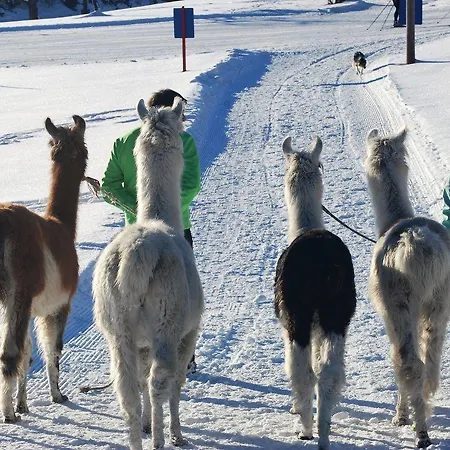 Country house Aschlandhof Obsteig