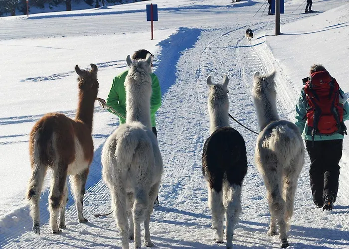 منزل ريفي Aschlandhof أوبشتايغ