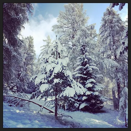 Aschlandhof * 奥布施泰希